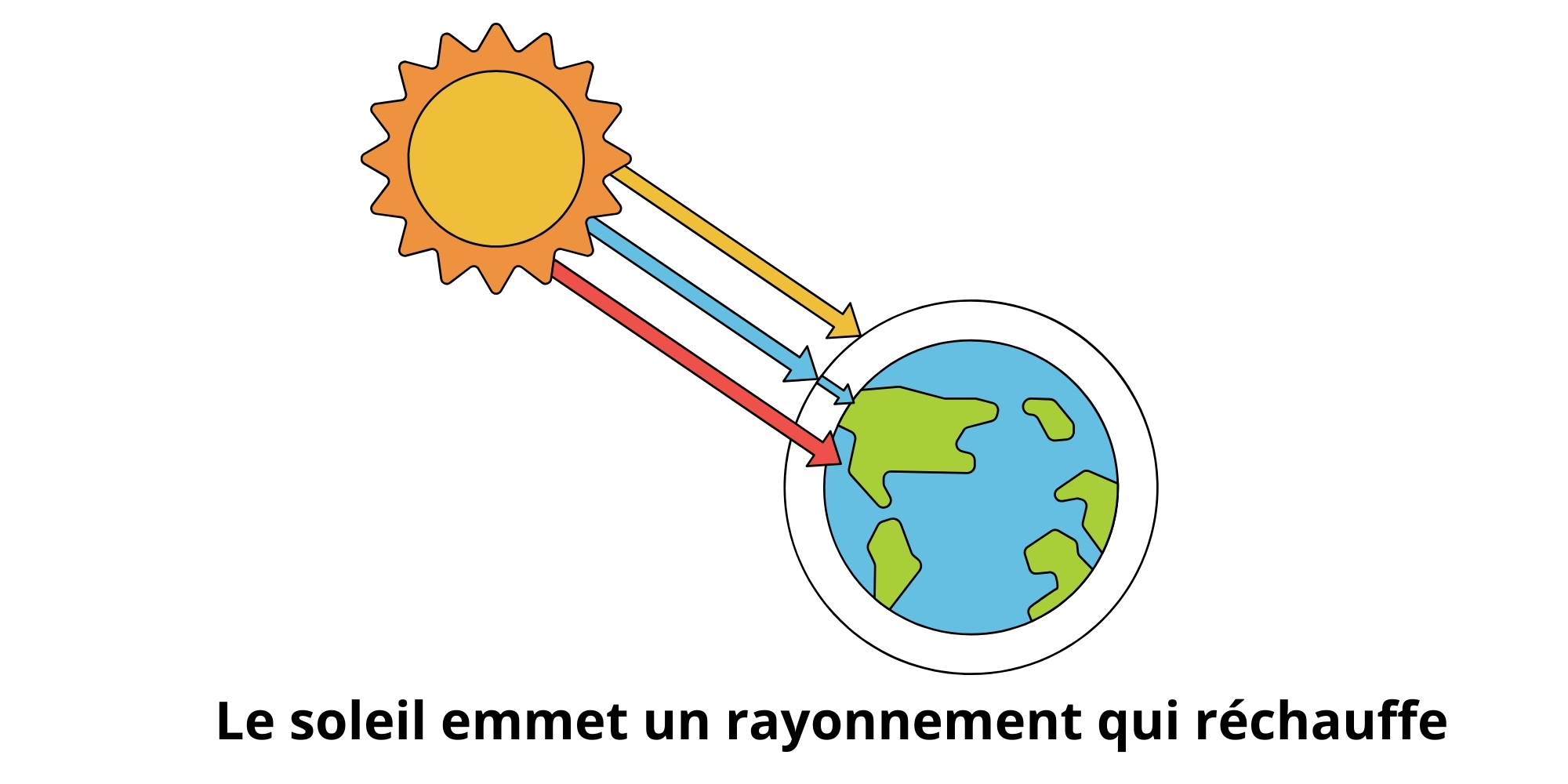 Cuisson pizza au feu de bois
